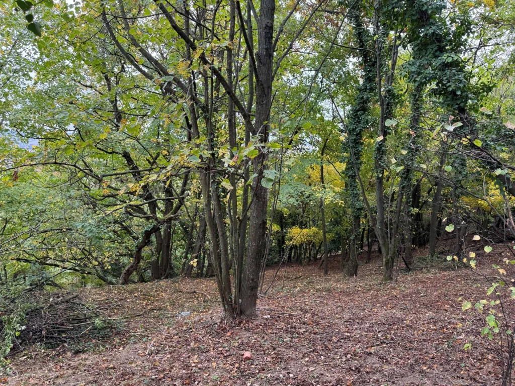 For sale other plot, Kőszeg