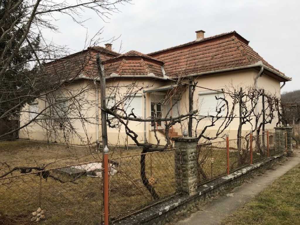 For sale house, Piliny