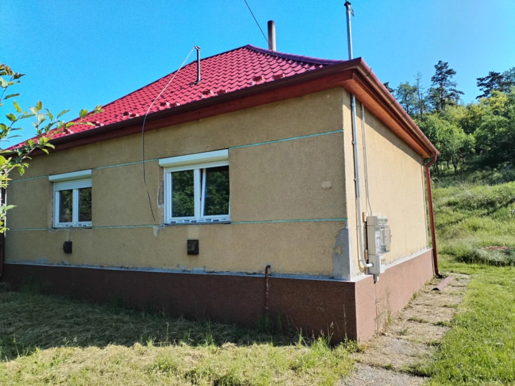For sale house, Vizslás