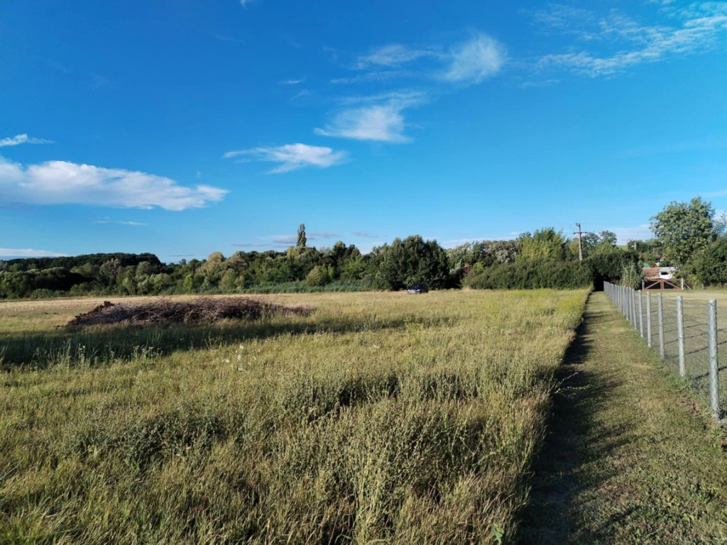MOST 3000 m² telek Palotáson – Álmodja meg az otthonát itt!
