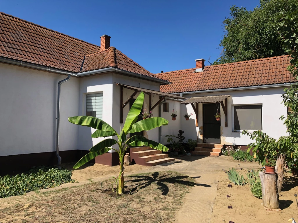 Azonnal költözhető családi ház, mesés panoráma, központi hely, Nemti