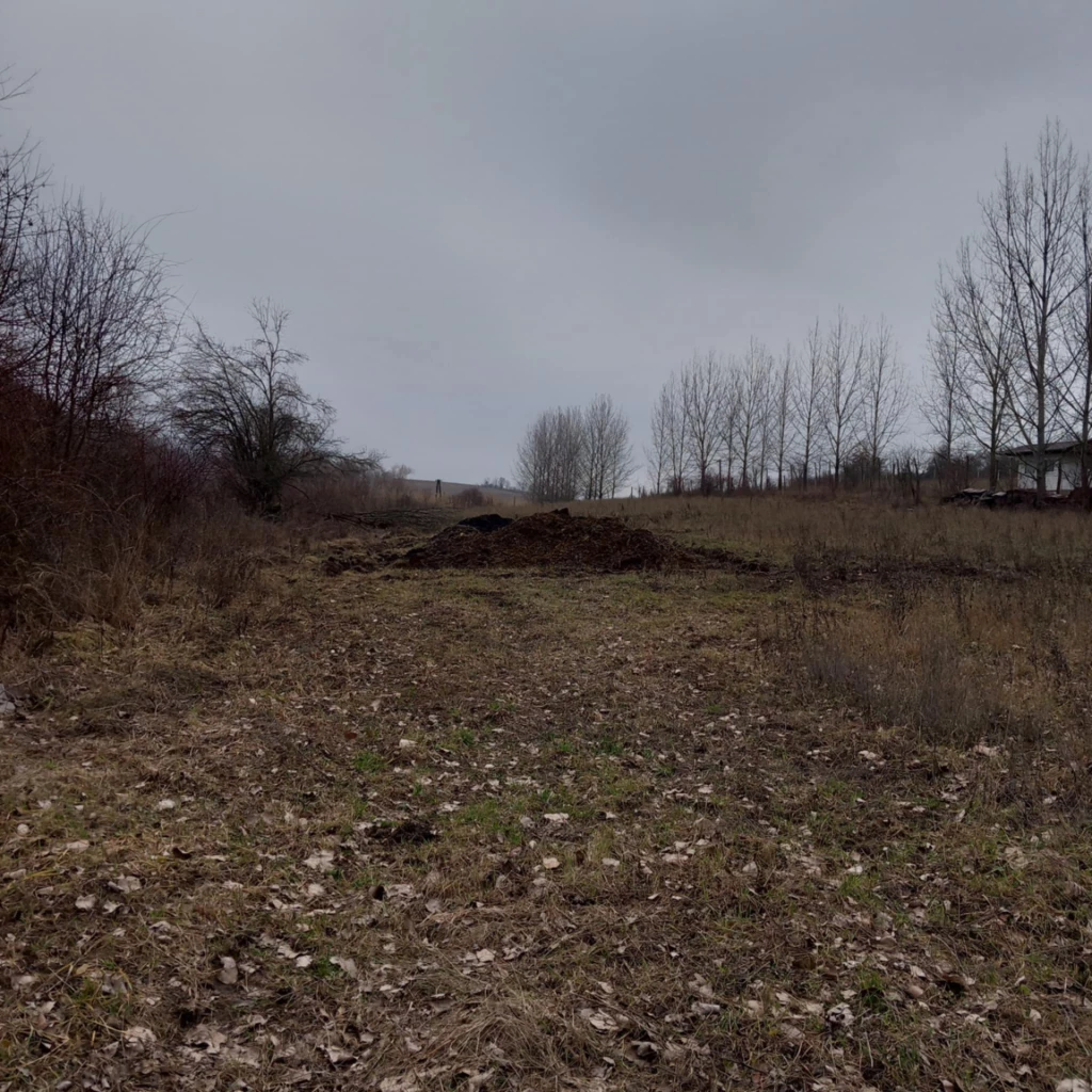 Eladó tanya Szandán, gyönyörű környezet ajándék kis csikó