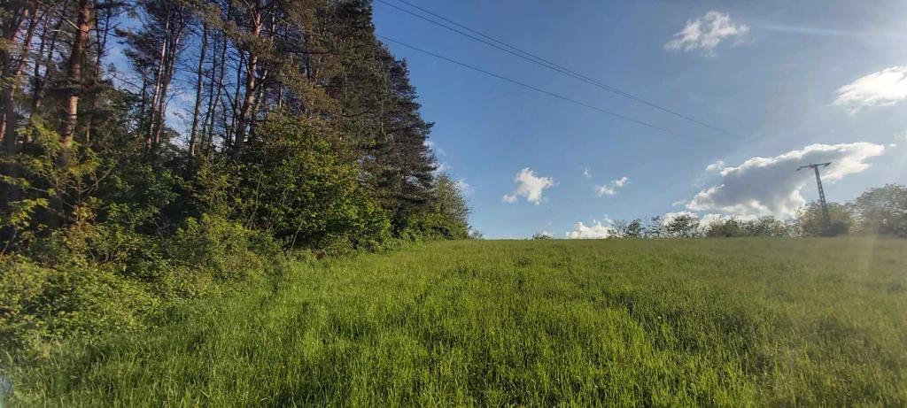 Eladó külterületi telek Mátraderecskén