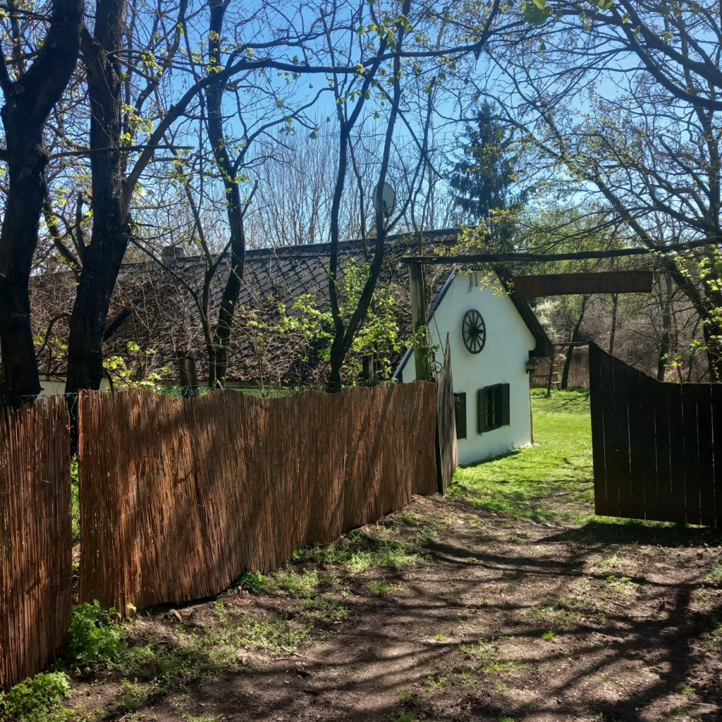 c3-1-name c2-1-name, Ecseg