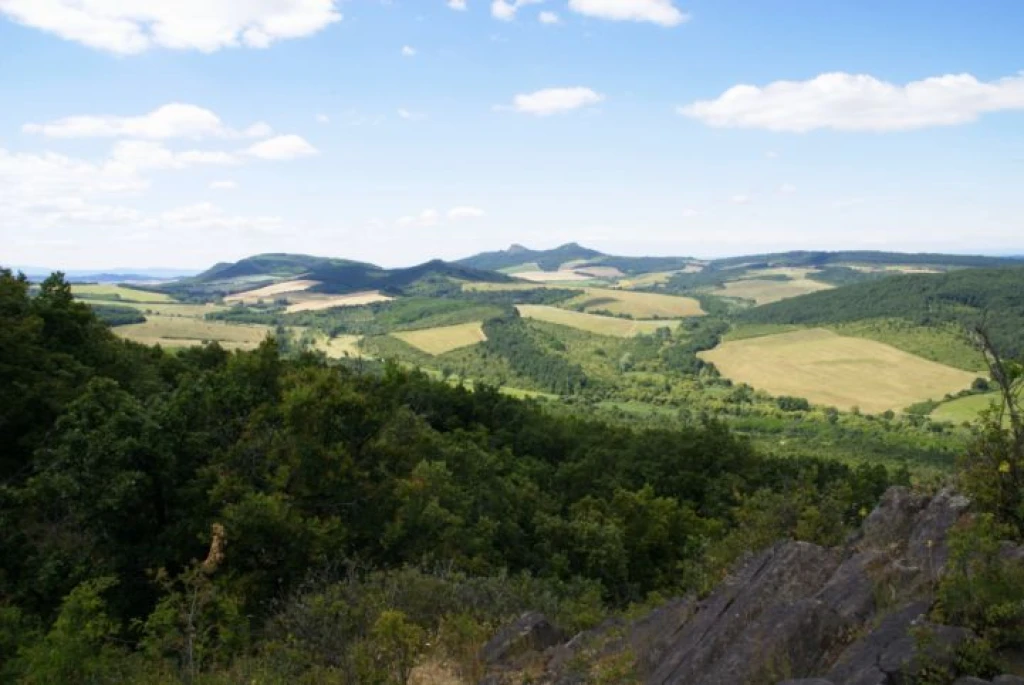 Eladó külterületi telek, Bér