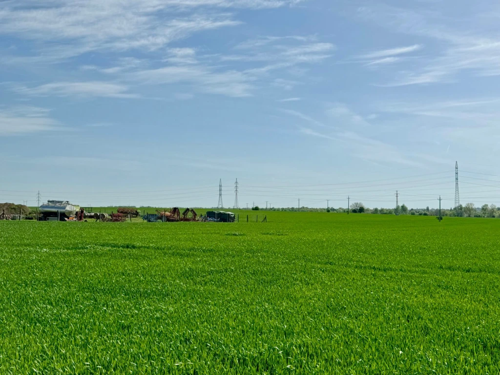 c3-1-name c2-50-name, Kesztölc