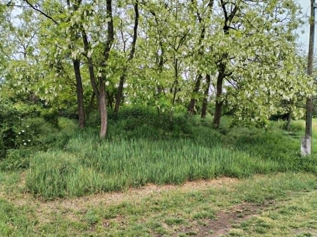 Panorámás nyaraló eladó Kozárdon – a Cserhát szívében