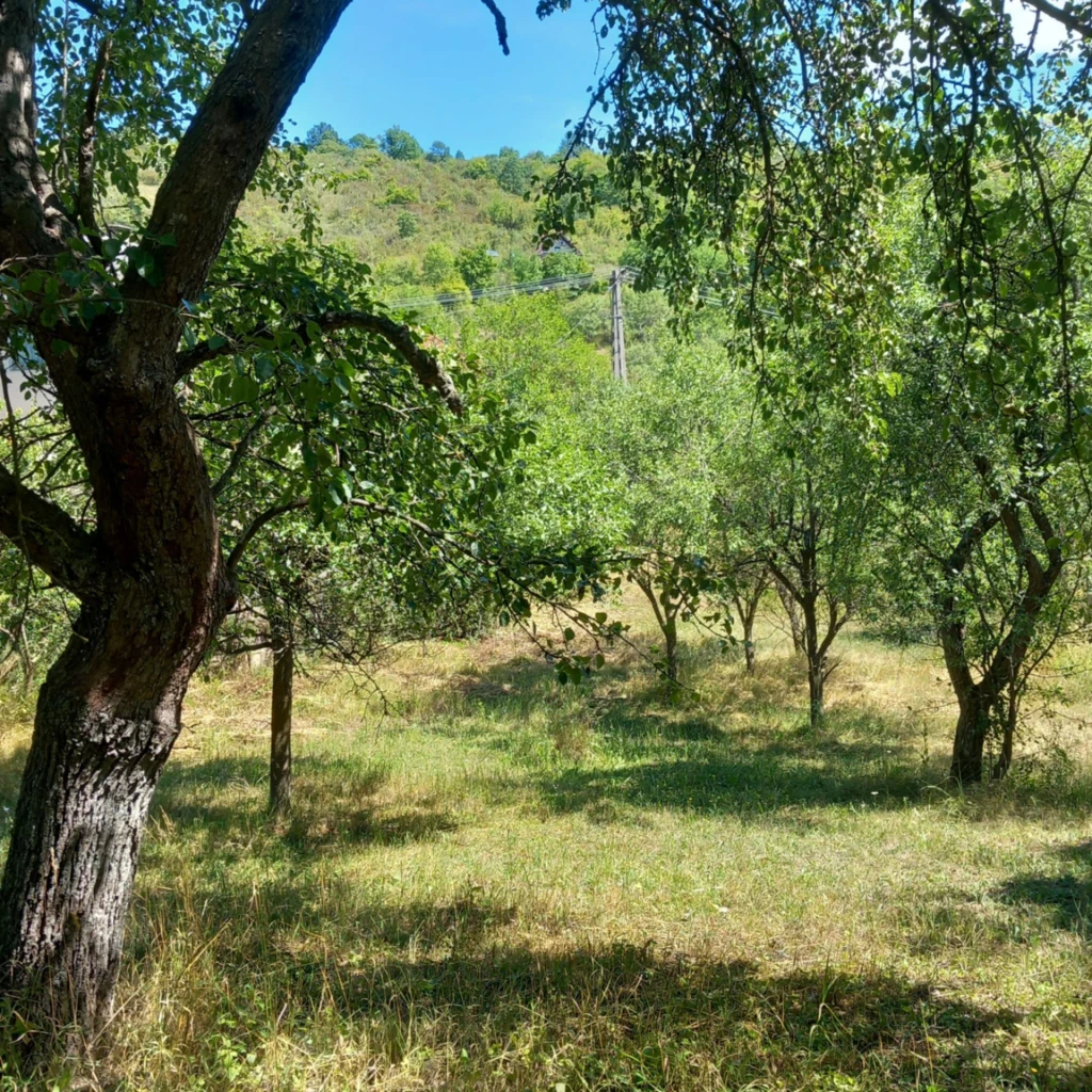 Alsópetény panorámás telek eladó