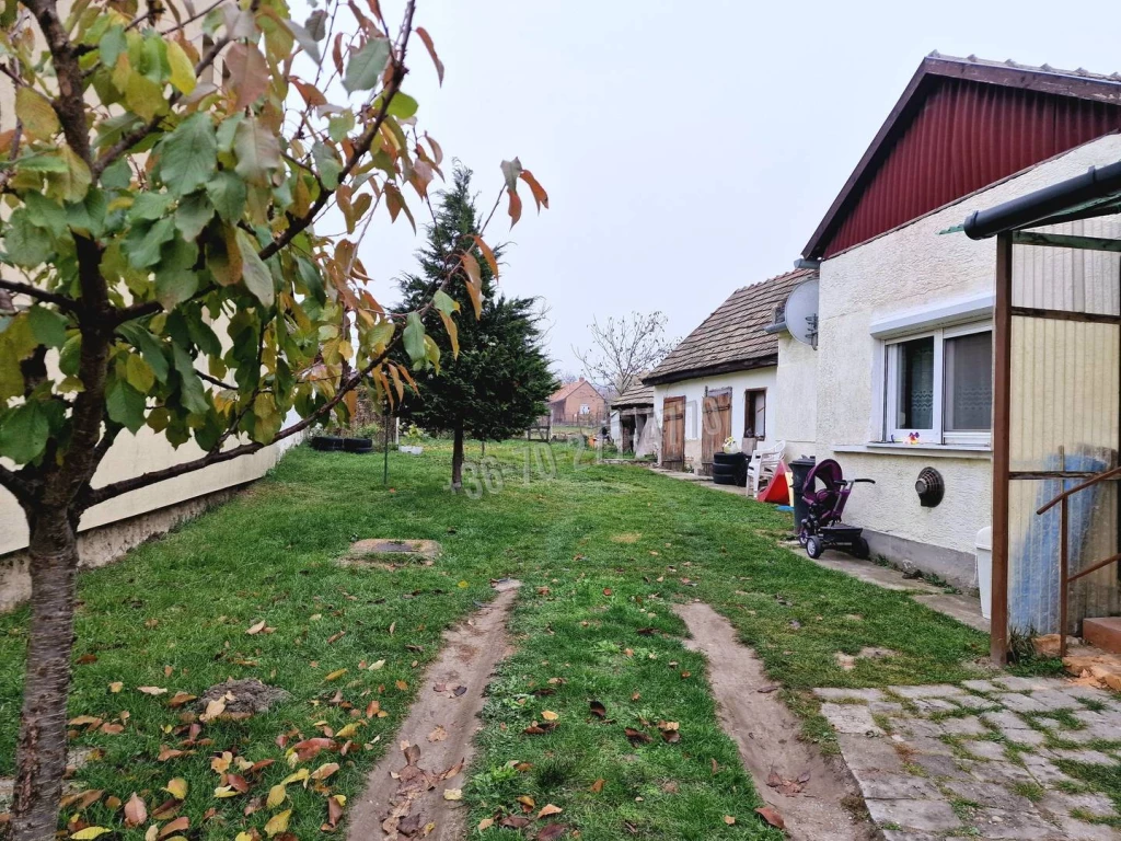 For sale house, Császár