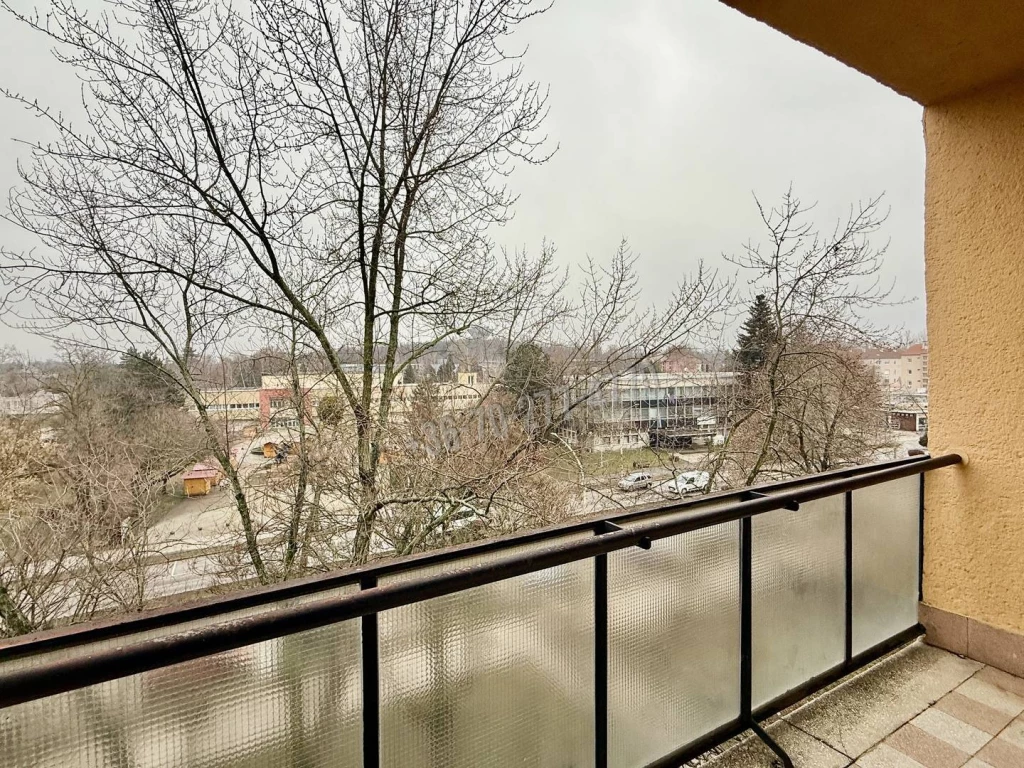 c3-1-name c2-19-name, Oroszlány, Újváros, Rákóczi Ferenc út