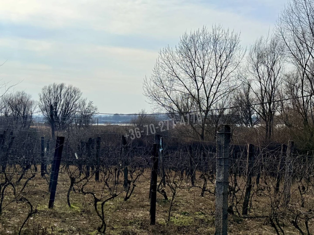 Eladó Építési telek, Oroszlány,  Nincs megadva, 1500nm, 8700000 Ft