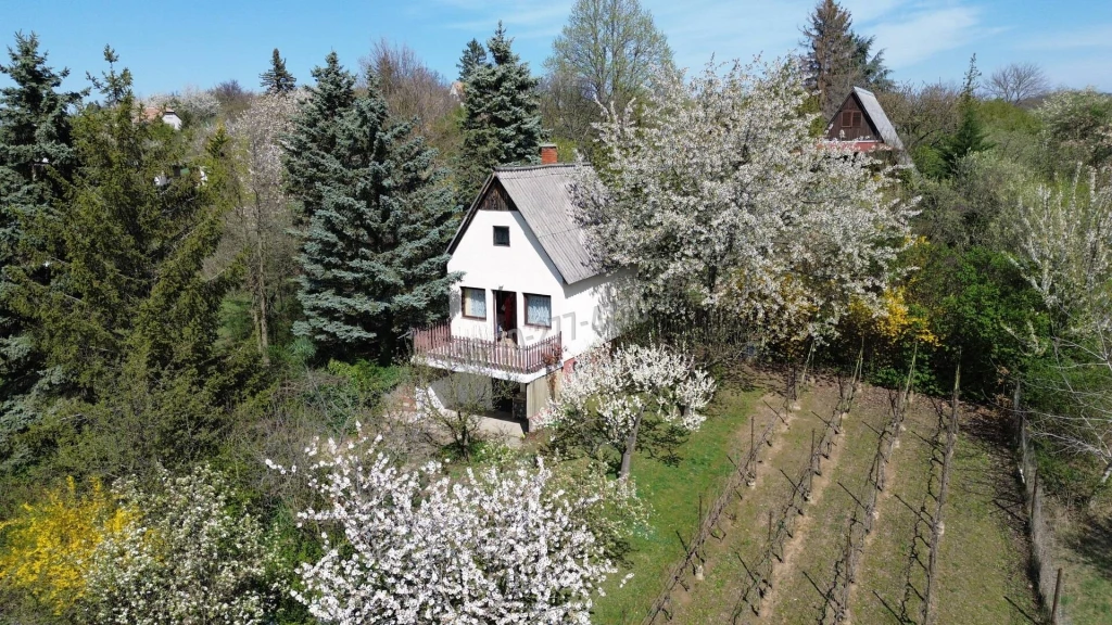 Eladó Üdülő, nyaraló, Oroszlány,  Nincs megadva, 40nm, 16500000 Ft