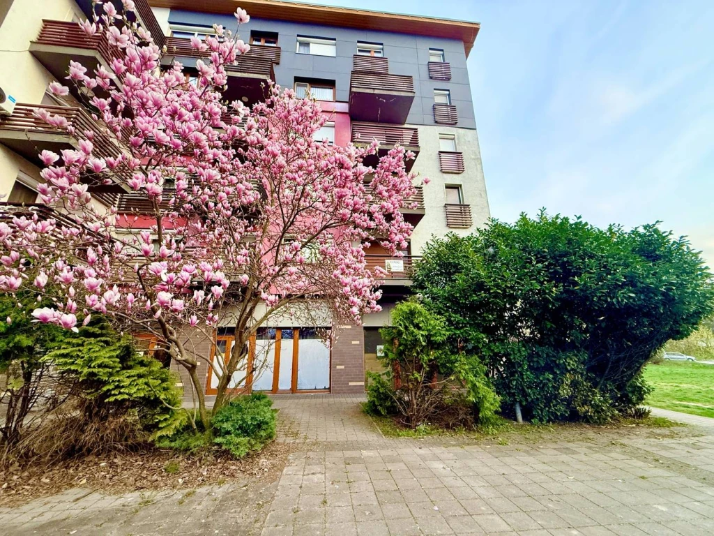 Eladó Társasházi lakás, Oroszlány, Újváros, Tópart utca, 46nm, 50500000 Ft