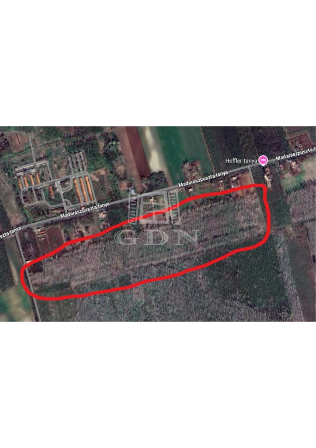 Eladó erdő, Madaras, Madarászpuszta
