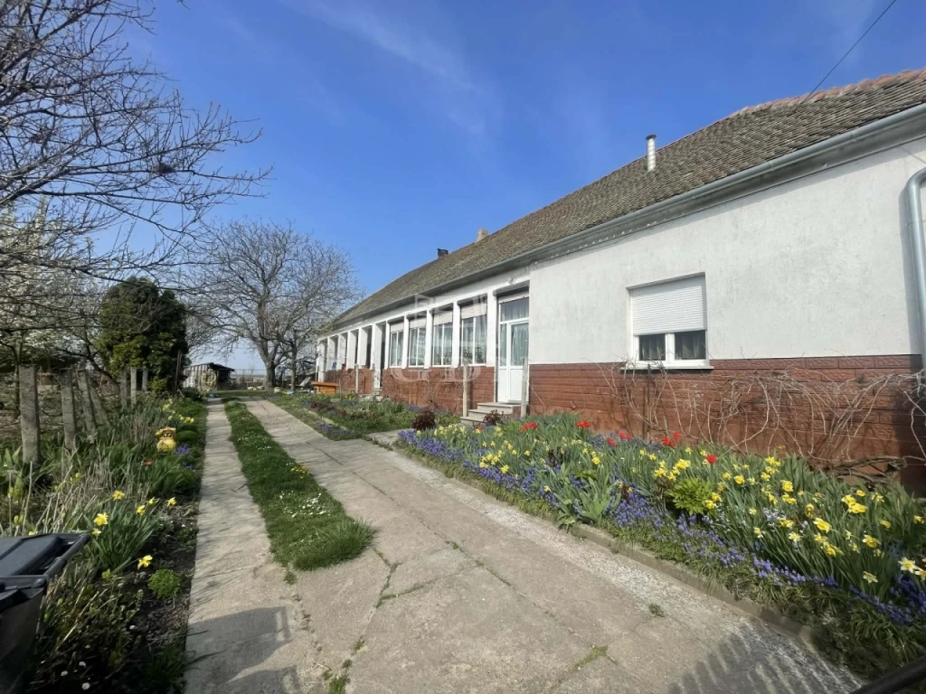 c3-1-name c2-1-name, Gara, Dózsa György utca