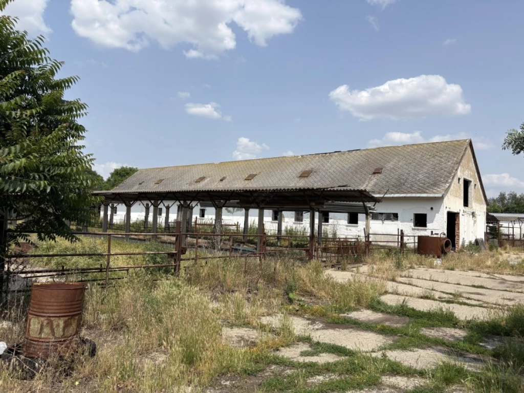 Eladó Egyéb mezőgazdasági ingatlan