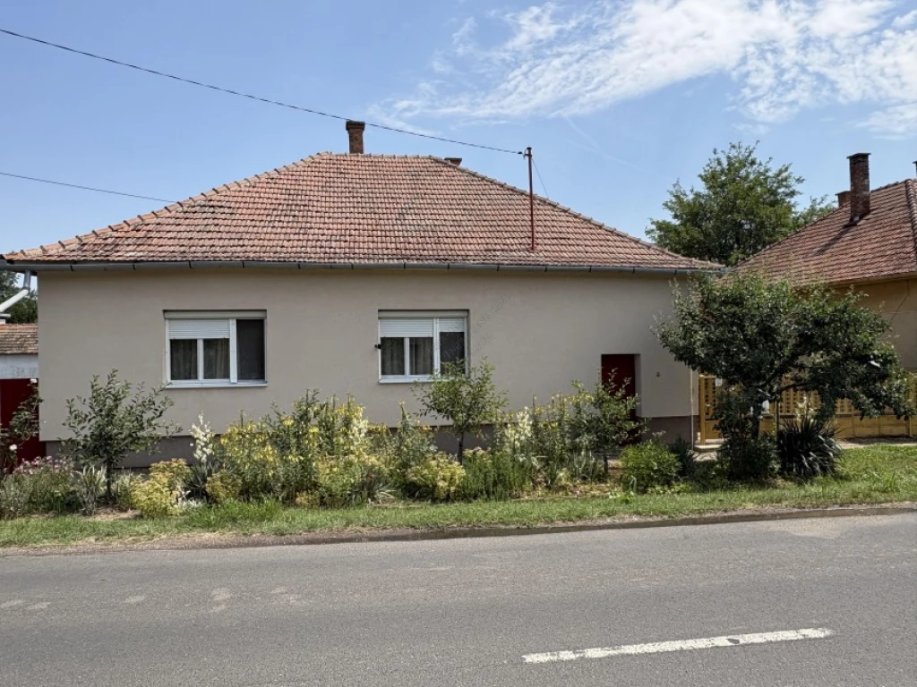 c3-1-name c2-1-name, Mártély, Fő utca