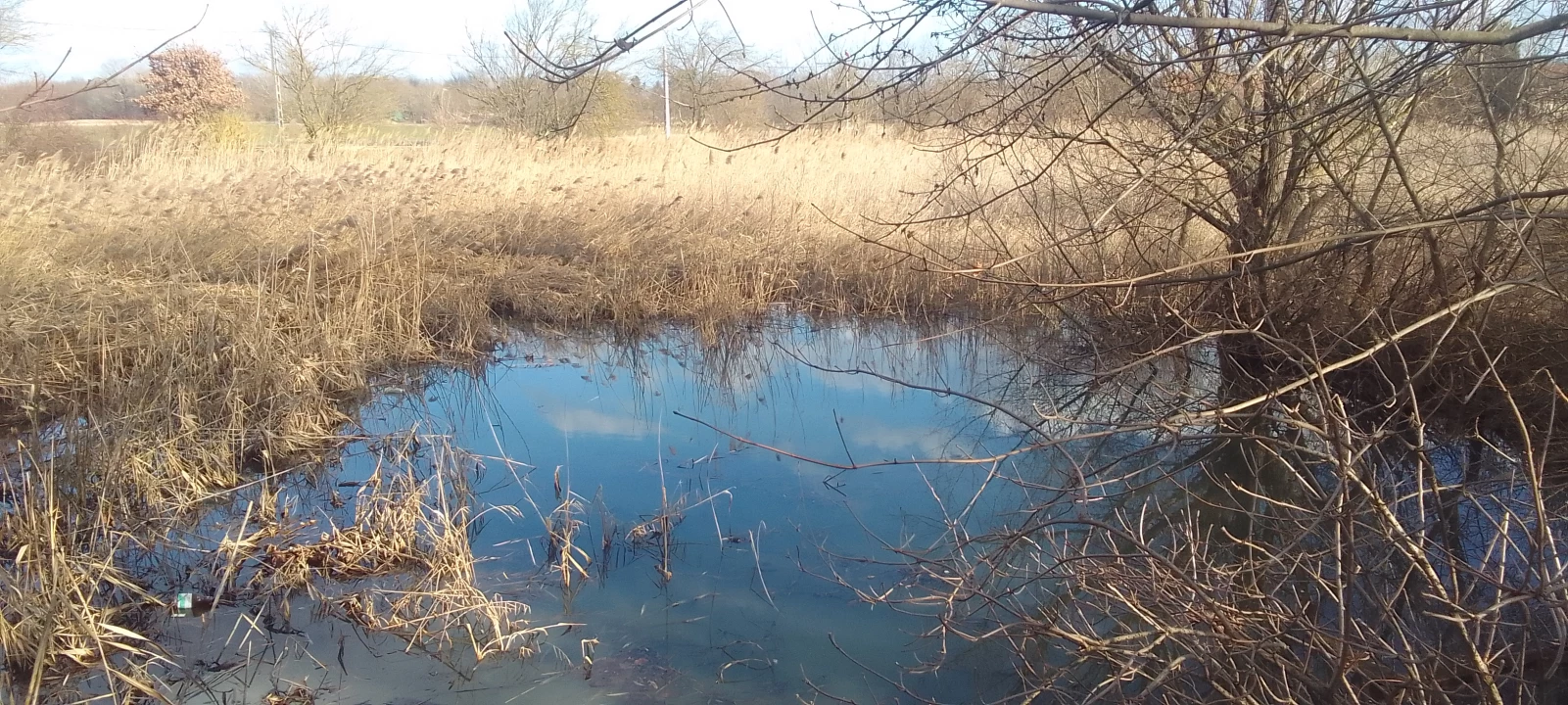 For sale fishpond, Rábacsanak