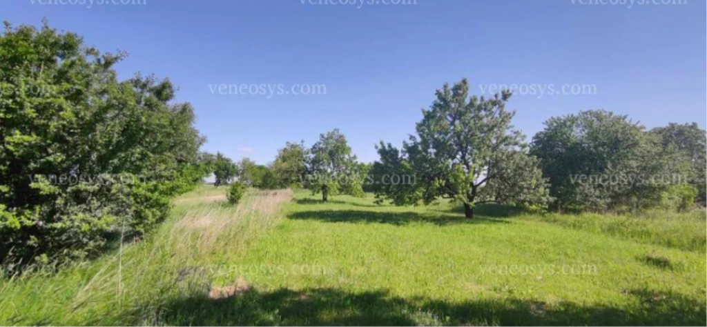 Sajóvámoson ELADÓ 1169 m² zártkert (gyümölcsös) az Eperfa soron, közvetlenül az út mellett közel a belterülethez.