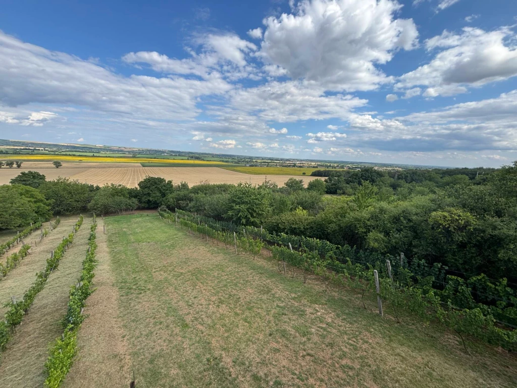 c3-1-name c2-81-name, Onga