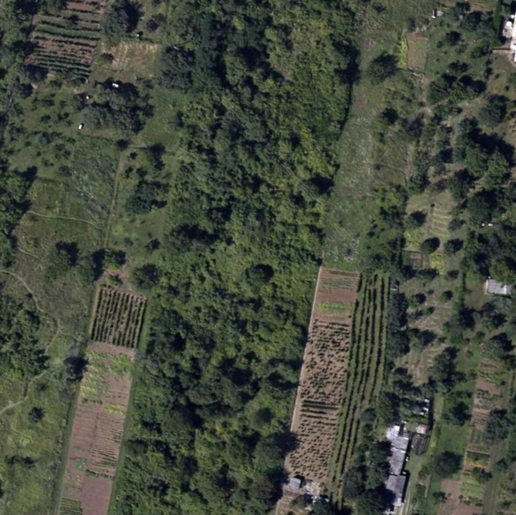 c3-1-name c2-81-name, Miskolc