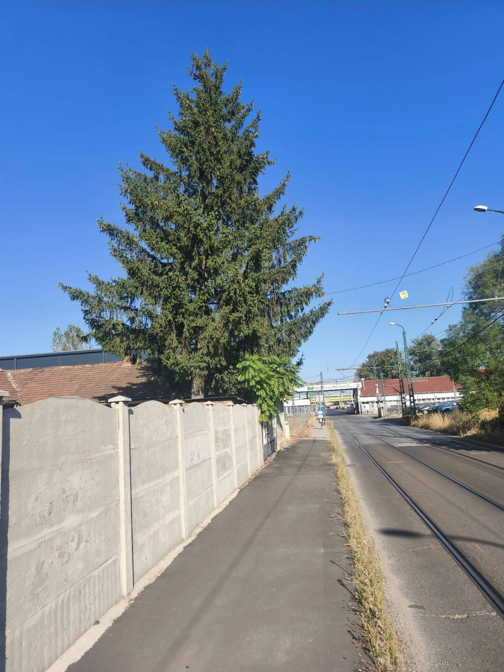 Miskolc, Üteg utca – kis alapterületű lakóingatlan vállalkozási célra is, kiváló elhelyezkedéssel eladó