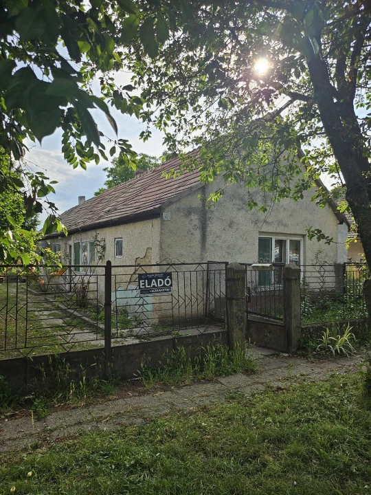 c3-1-name c2-1-name, Pátka