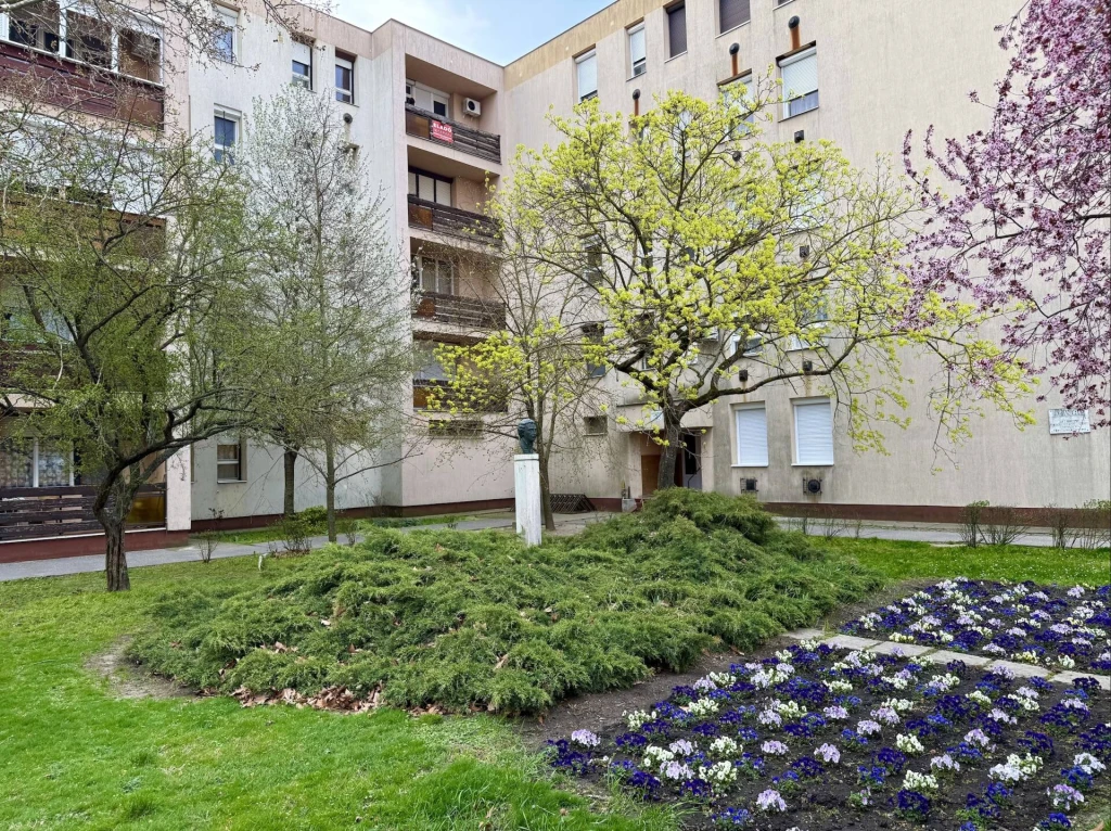 c3-1-name c2-23-name, Törökszentmiklós