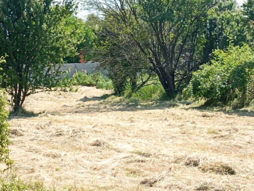 Eladó zártkert, Tiszanána