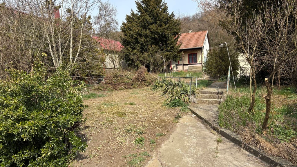 c3-1-name c2-1-name, Miskolc