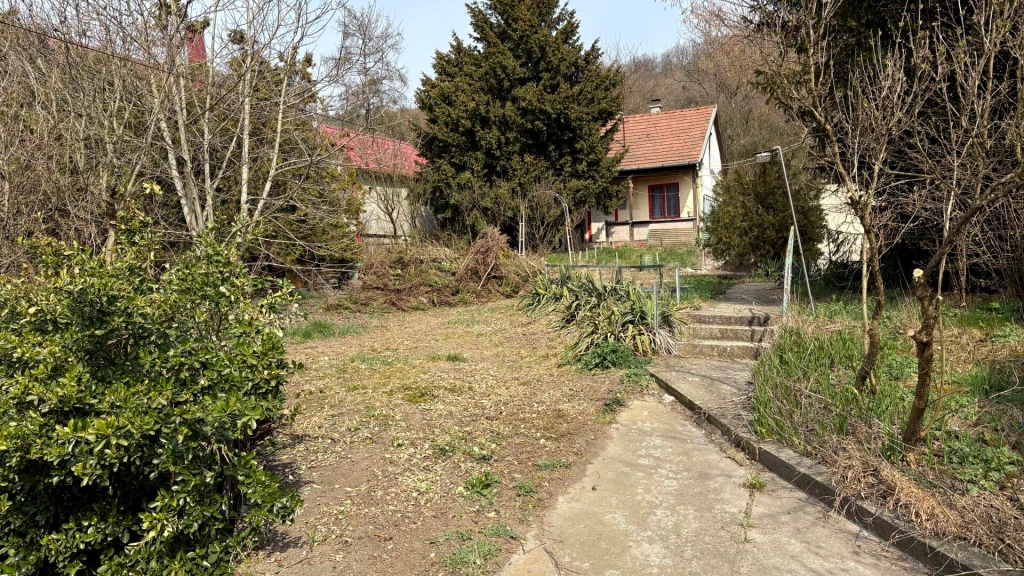 c3-1-name c2-1-name, Miskolc