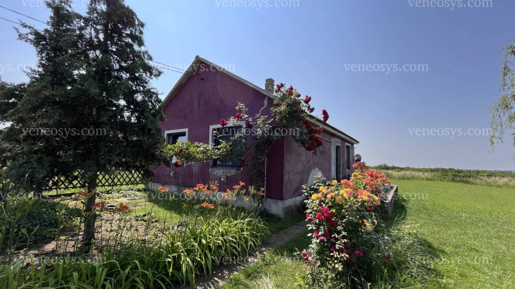 Gesztely településen csendes, forgalomtól mentes kis utcában kínálom megvételre ezt a 64m2-es családi házat.