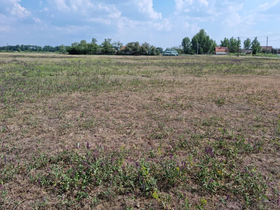 For sale building plot, Gyomaendrőd