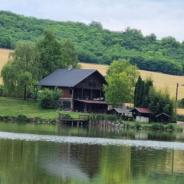 Eladó halastó, Siófok