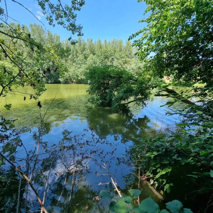 Eladó külterületi telek, Békésszentandrás