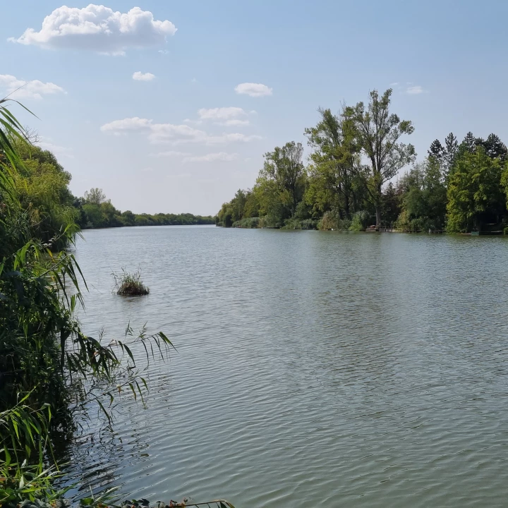 For sale other plot, Békésszentandrás