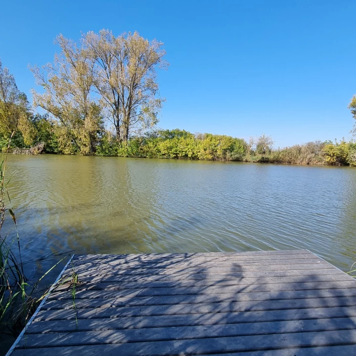 Eladó üdülő, nyaraló, Gyomaendrőd