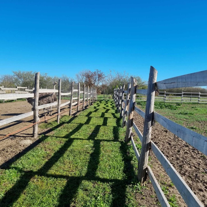 Eladó külterületi telek, Mezőtúr