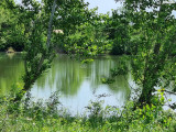 Eladó Telek