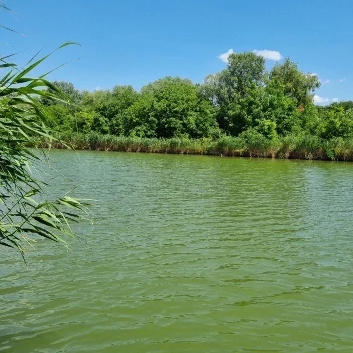 Eladó üdülő, nyaraló, Gyomaendrőd