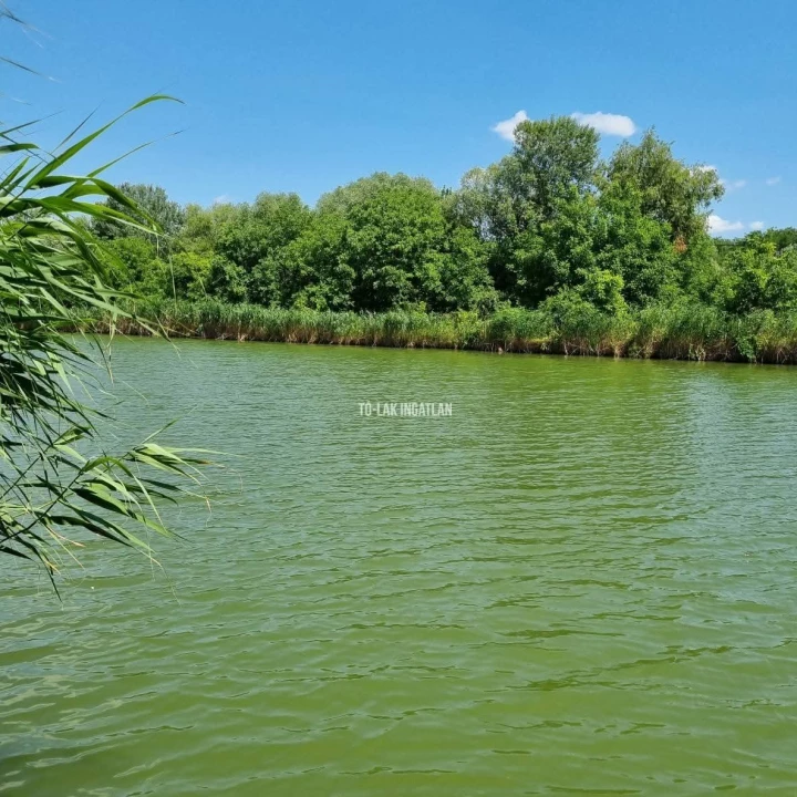 Eladó egyéb nyaraló, Gyomaendrőd