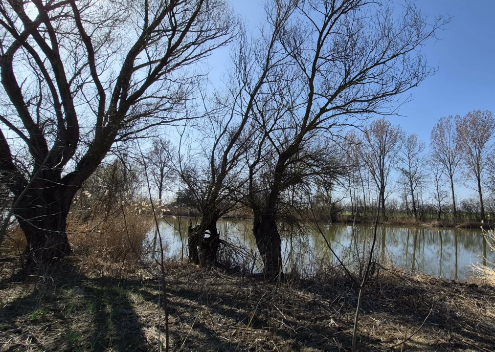 Eladó külterületi telek, Békésszentandrás