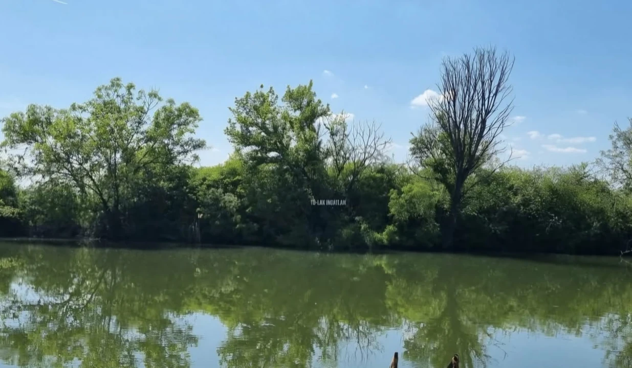 Eladó üdülőtelek, Gyomaendrőd