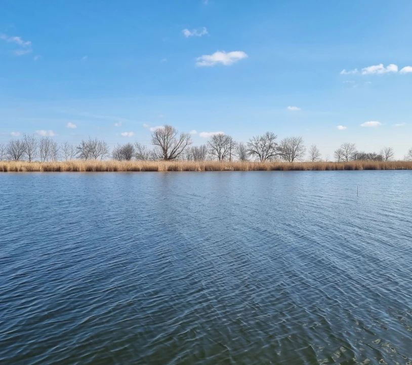 Eladó egyéb telek, Nagyrév