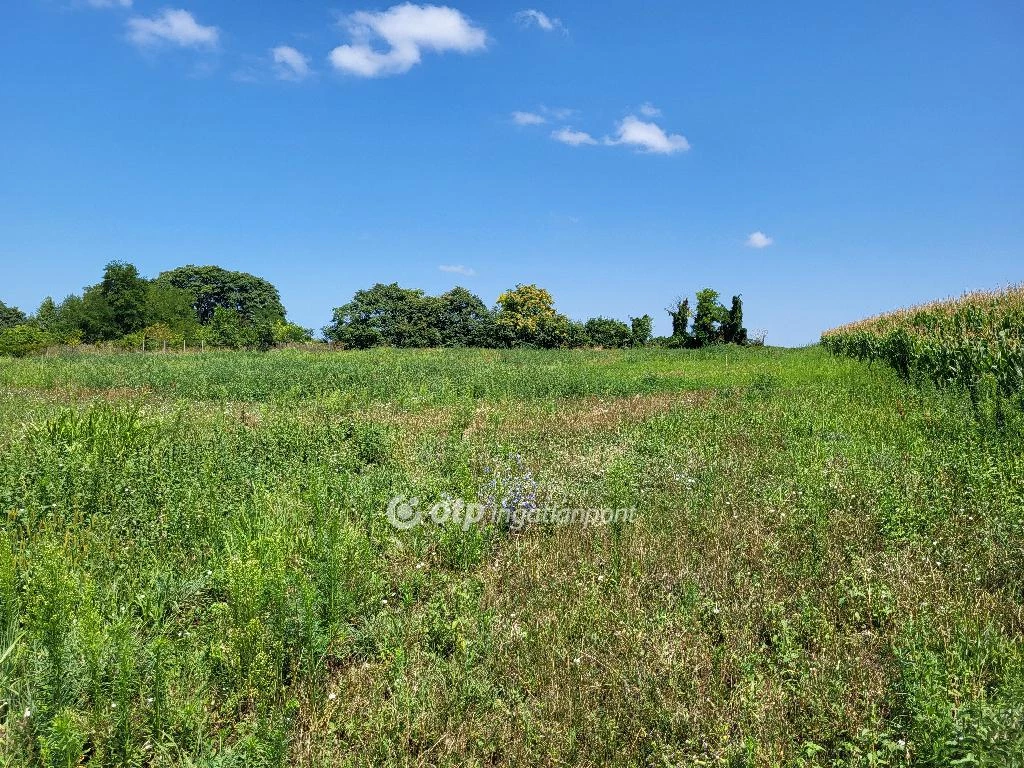 For sale periphery plot, Siófok