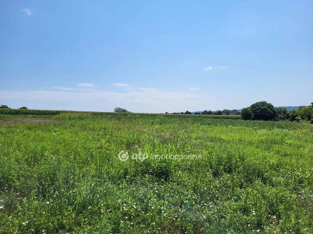 For sale periphery plot, Siófok