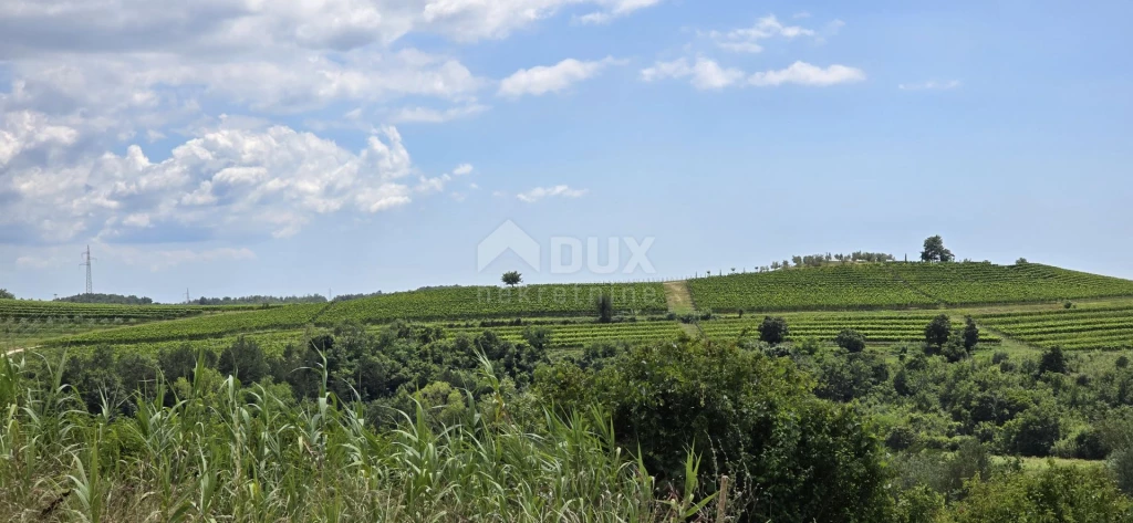 ISZTRIA, BUJE - Építési telek az építési övezet szélén, panorámás kilátással