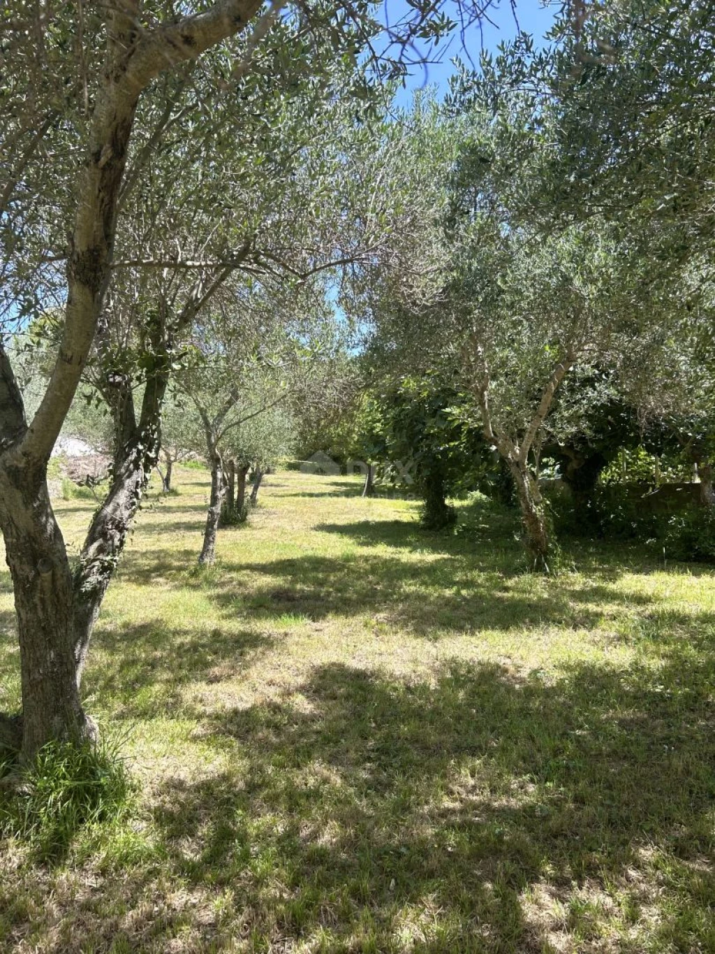 For sale building plot, Zadar - Okolica, Kožino