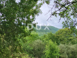 c3-1-name c2-50-name, Buzet, Buzet