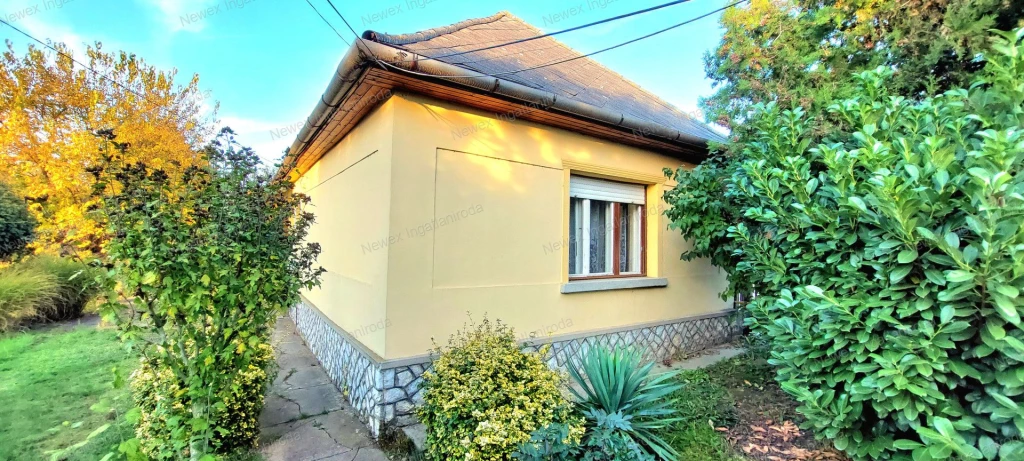 For sale house, Onga